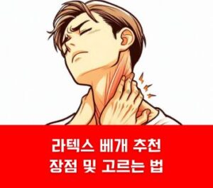 라텍스 베개 추천 장점 및 고르는 법 라텍스 베개 추천 장점 및 고르는 법