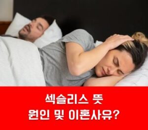 섹슬리스 뜻 원인 이혼사유 섹슬리스 뜻 원인 이혼사유