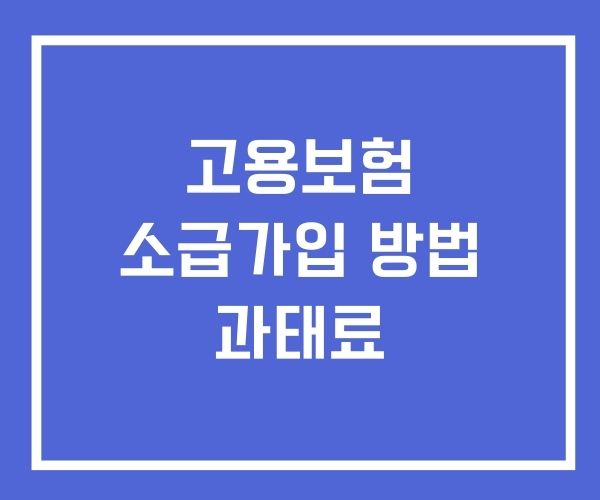 고용보험 소급가입 방법 가입대상 과태료