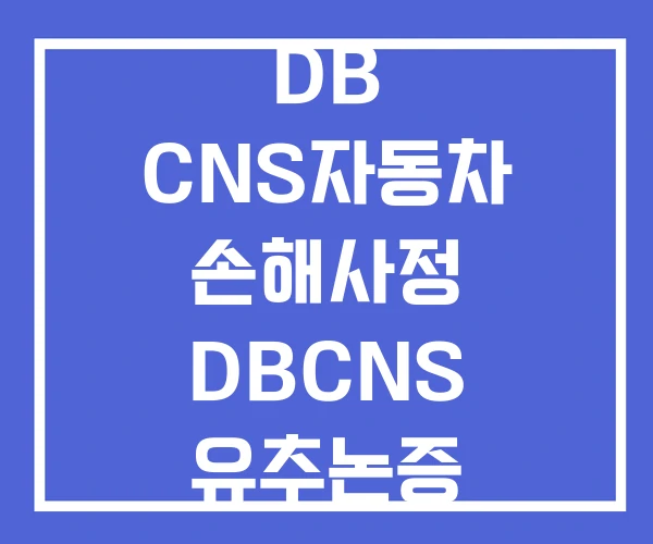 DB CNS자동차 손해사정 DBCNS 유추논증 DB CNS자동차 손해사정 DBCNS 유추논증