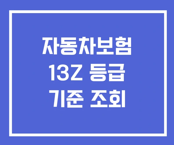 자동차보험 13Z 등급 기준 조회 자동차보험 13Z 등급 기준 조회