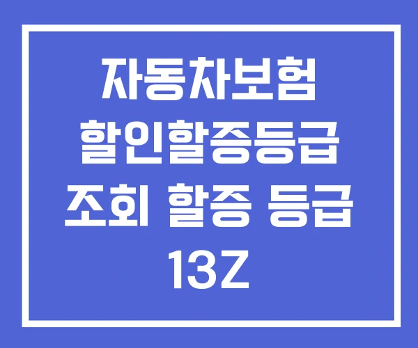 자동차보험 할인할증등급 조회 할증 등급 13Z 자동차보험 할인할증등급 조회 할증 등급 13Z