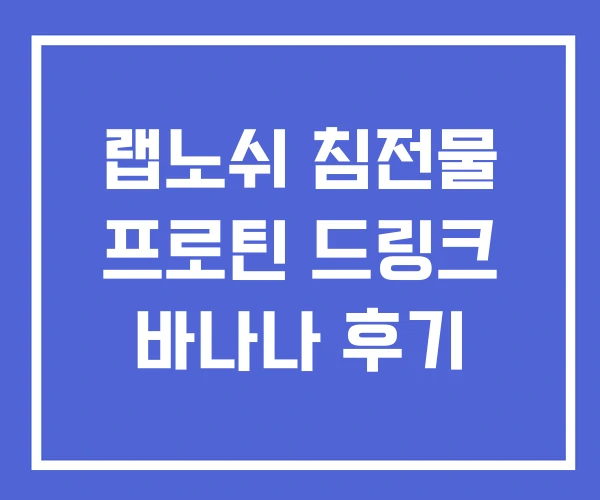 랩노쉬 침전물 프로틴 드링크 바나나 후기 랩노쉬 침전물 프로틴 드링크 바나나 후기