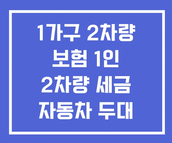 1가구 2차량 보험 1인 2차량 세금 자동차 두대