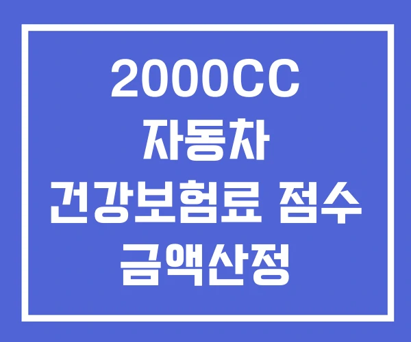 2000CC 자동차 건강보험료 점수 금액산정