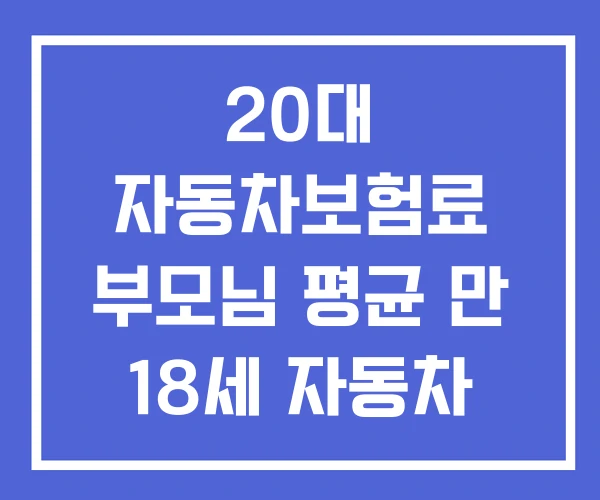 20대 자동차보험료 부모님 평균 만 18세 자동차 보험료