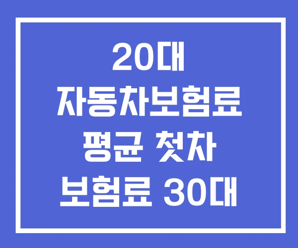 20대 자동차보험료 평균 첫차 보험료 30대