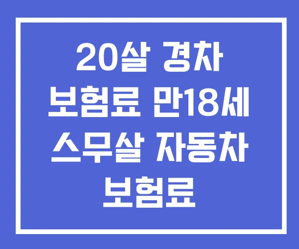 20살 경차 보험료 만18세 스무살 자동차 보험료