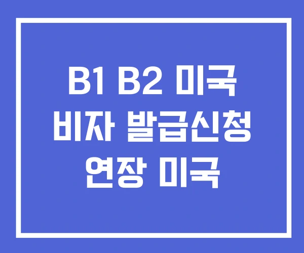 B1 B2 미국 비자 발급신청 연장 미국