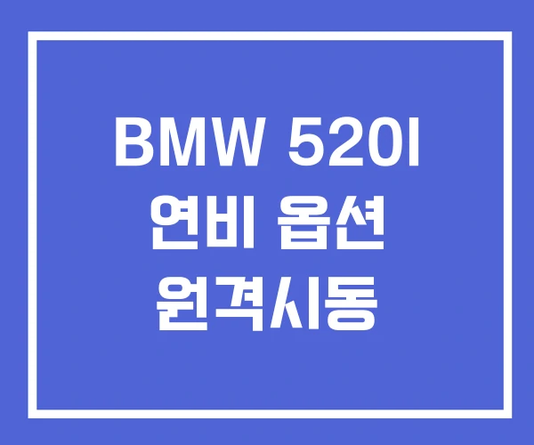BMW 520I 연비 옵션 원격시동