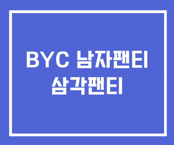 BYC 남자팬티 삼각팬티