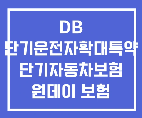 DB 단기운전자확대특약 단기자동차보험 원데이 보험