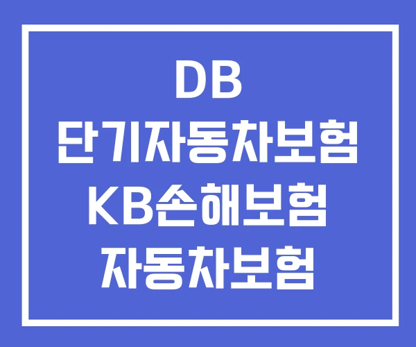 DB 단기자동차보험 KB손해보험 자동차보험 단기운전자 확대