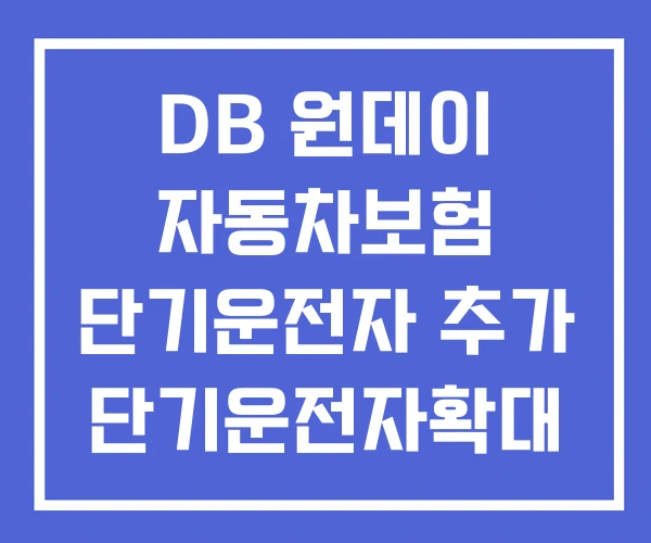 DB 원데이 자동차보험 단기운전자 추가 단기운전자확대 DB 원데이 자동차보험 단기운전자 추가 단기운전자확대