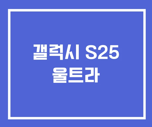 갤럭시 S25 울트라 갤럭시 S25 울트라