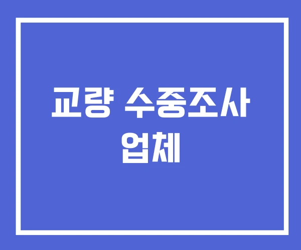 교량 수중조사 업체 교량 수중조사 업체