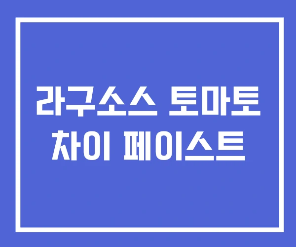라구소스 토마토 차이 페이스트