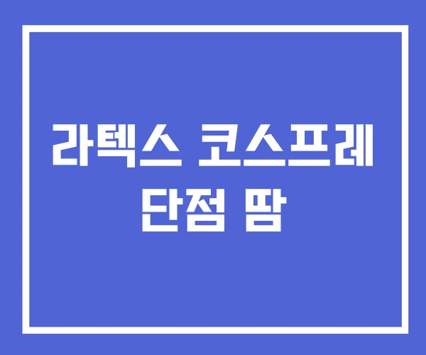 라텍스 코스프레 단점 땀