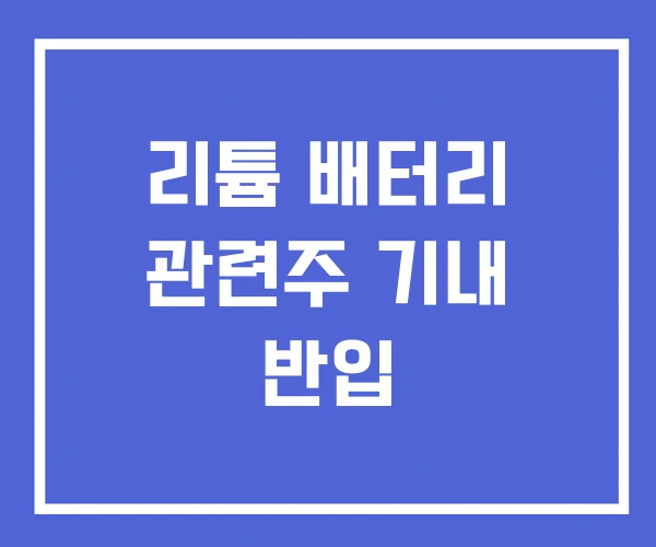 리튬 배터리 관련주 기내 반입