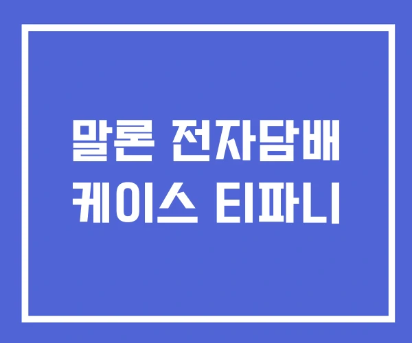 말론 전자담배 케이스 티파니 말론 전자담배 케이스 티파니