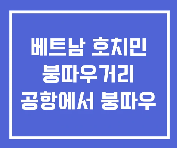베트남 호치민 붕따우거리 공항에서 붕따우