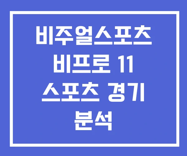 비주얼스포츠 비프로 11 스포츠 경기 분석 비주얼스포츠 비프로 11 스포츠 경기 분석