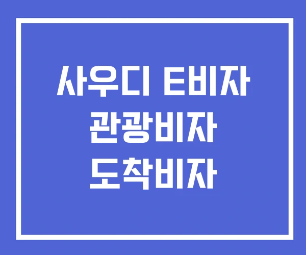 사우디 E비자 관광비자 도착비자