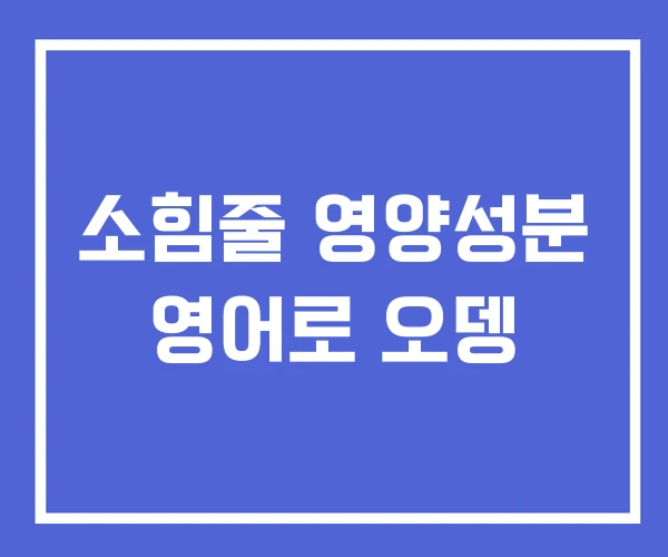 소힘줄 영양성분 영어로 오뎅
