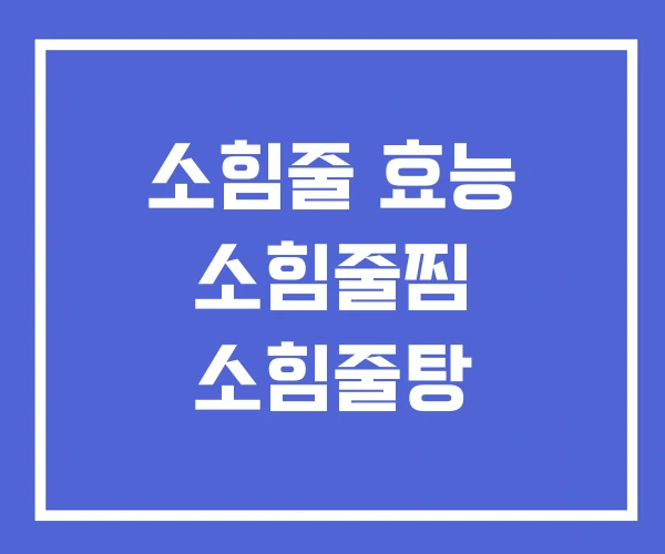 소힘줄 효능 소힘줄찜 소힘줄탕
