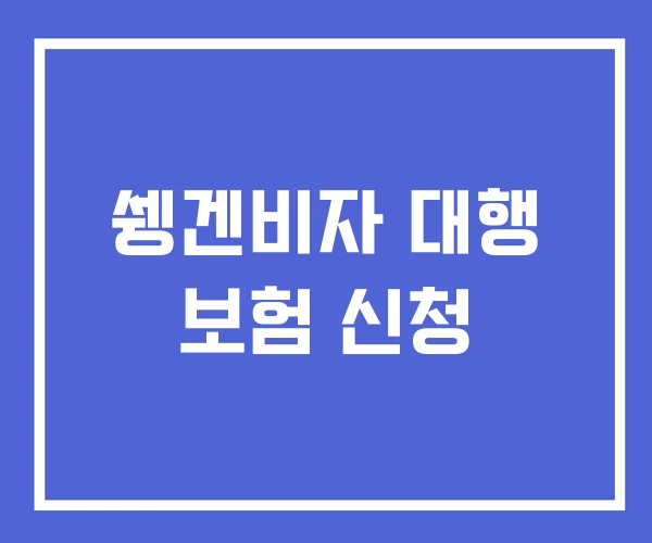 쉥겐비자 대행 보험 신청