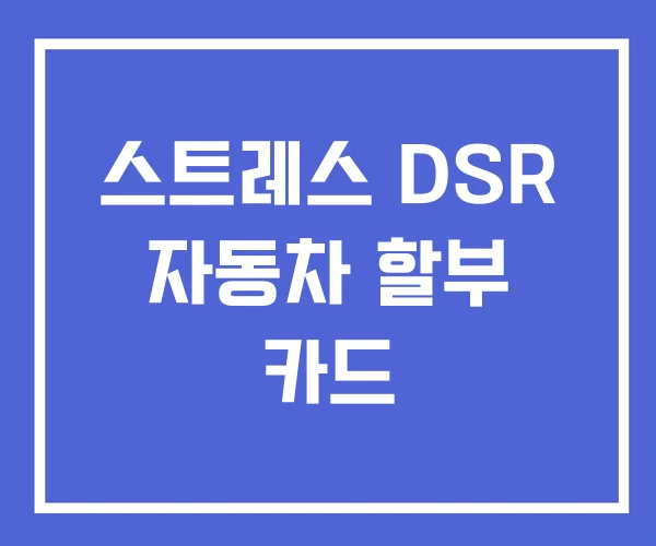 스트레스 DSR 자동차 할부 카드