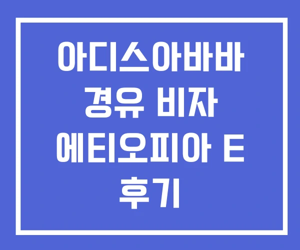 아디스아바바 경유 비자 에티오피아 E 후기