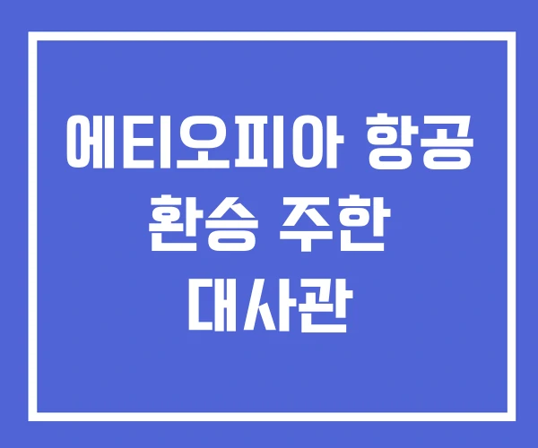 에티오피아 항공 환승 주한 대사관