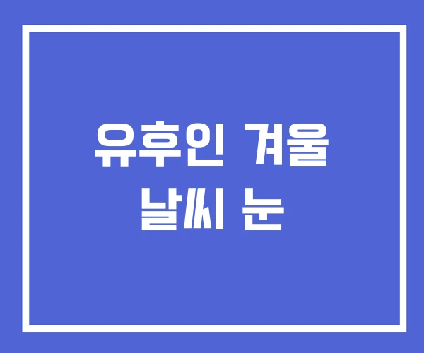 유후인 겨울 날씨 눈