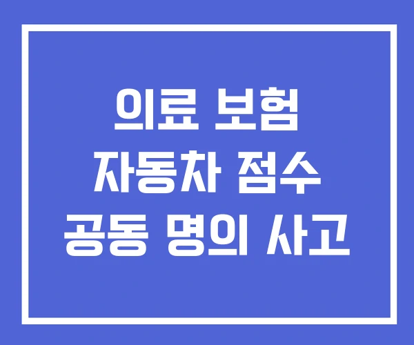 의료 보험 자동차 점수 공동 명의 사고 의료 보험 자동차 점수 공동 명의 사고