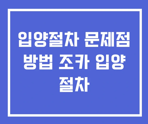 입양절차 문제점 방법 조카 입양 절차 입양절차 문제점 방법 조카 입양 절차