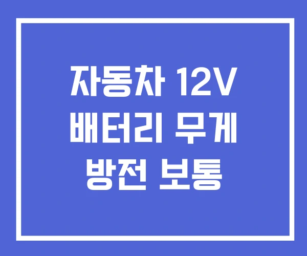 자동차 12V 배터리 무게 방전 보통