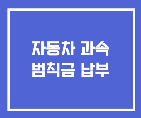 자동차 과속 범칙금 납부