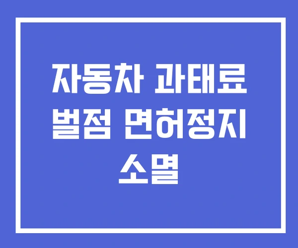 자동차 과태료 벌점 면허정지 소멸
