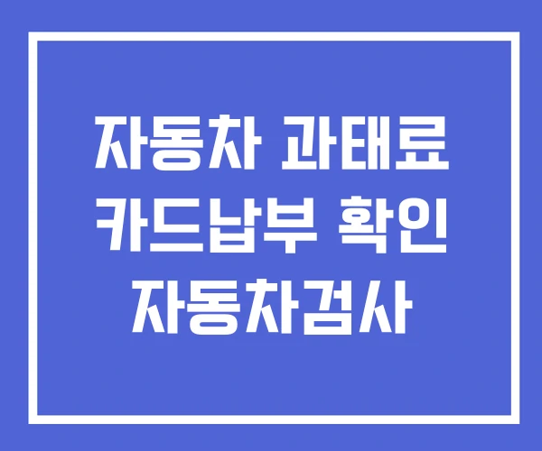 자동차 과태료 카드납부 확인 자동차검사
