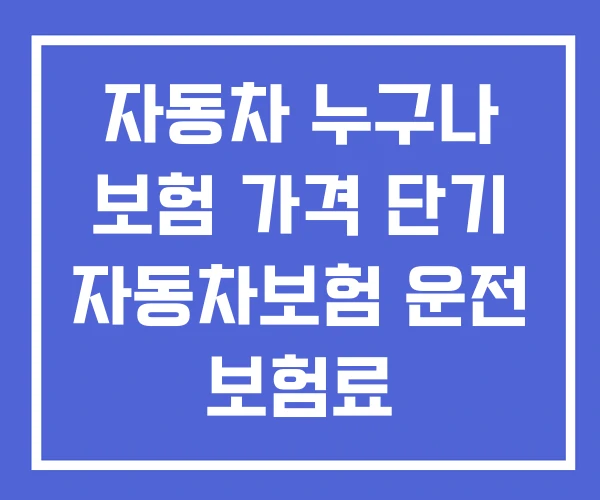 자동차 누구나 보험 가격 단기 자동차보험 운전 보험료