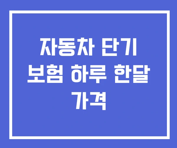 자동차 단기 보험 하루 한달 가격