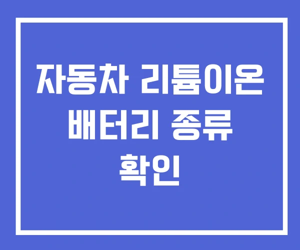 자동차 리튬이온 배터리 종류 확인