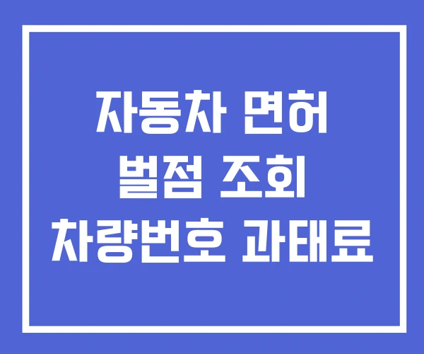 자동차 면허 벌점 조회 차량번호 과태료