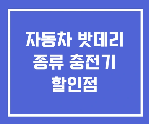 자동차 밧데리 종류 충전기 할인점