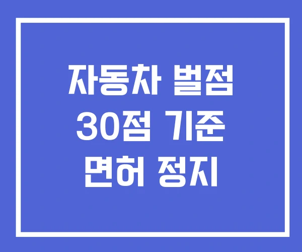 자동차 벌점 30점 기준 면허 정지 자동차 벌점 30점 기준 면허 정지