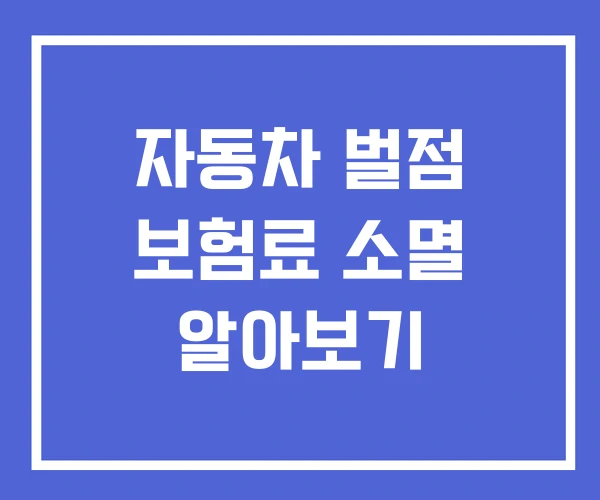 자동차 벌점 보험료 소멸 알아보기