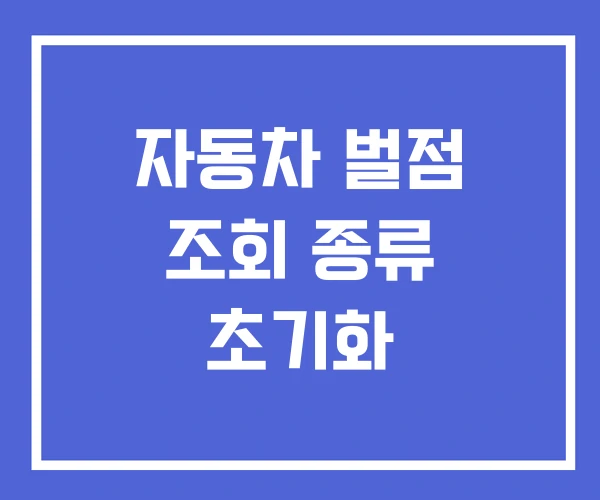 자동차 벌점 조회 종류 초기화