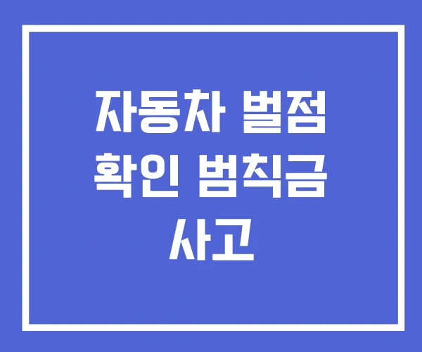 자동차 벌점 확인 범칙금 사고