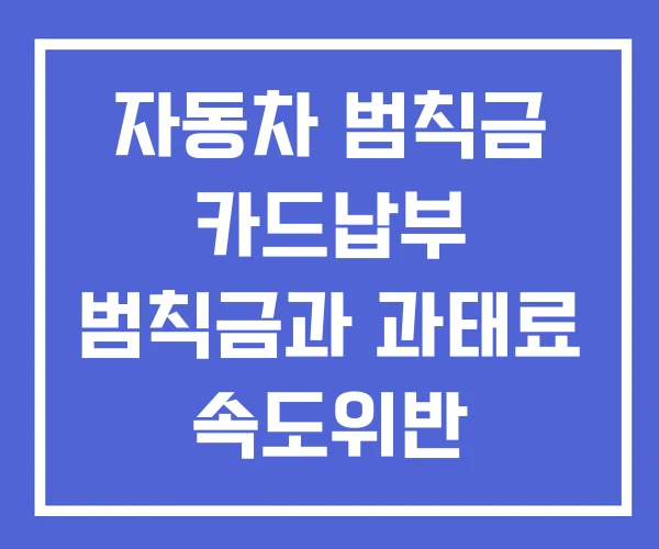 자동차 범칙금 카드납부 범칙금과 과태료 속도위반